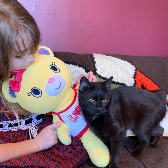 Meet your Posher, Betsy - Picture 4 of 4